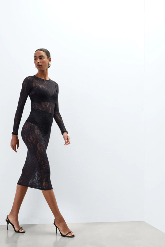 Long Sleeve Sheer Lace Dress